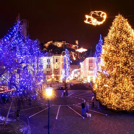 That Cat Flat - Free Parking, Near Center, Cats! Apartman