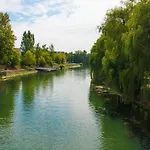 公寓 That Cat Flat - Free Parking, Near Center, Cats! *