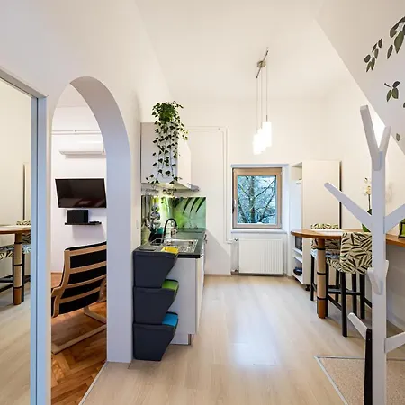 That Cat Flat - Free Parking, Near Center, Cats!