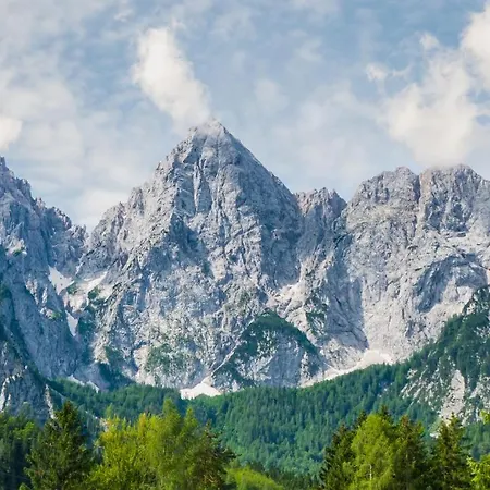 That Cat Flat - Free Parking, Near Center, Cats! * Liubliana