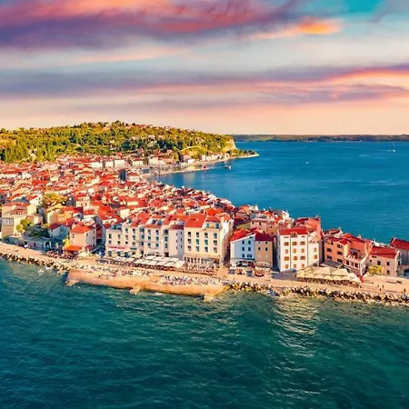 That Cat Flat - Free Parking, Near Center, Cats! Apartamento *