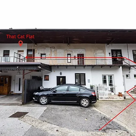 아파트 That Cat Flat - Free Parking, Near Center, Cats! 류블랴나