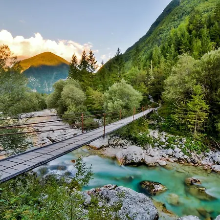 That Cat Flat - Free Parking, Near Center, Cats! * Liubliana