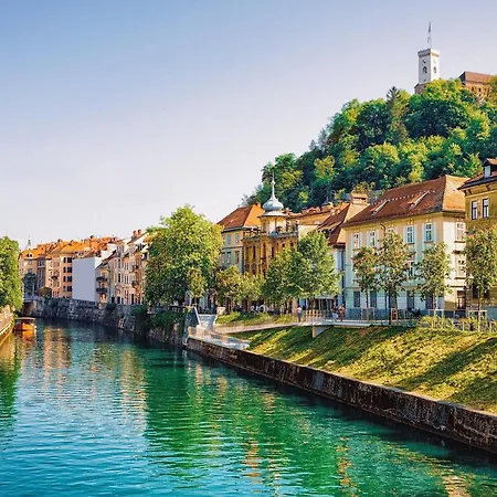 That Cat Flat - Free Parking, Near Center, Cats! Apartment *