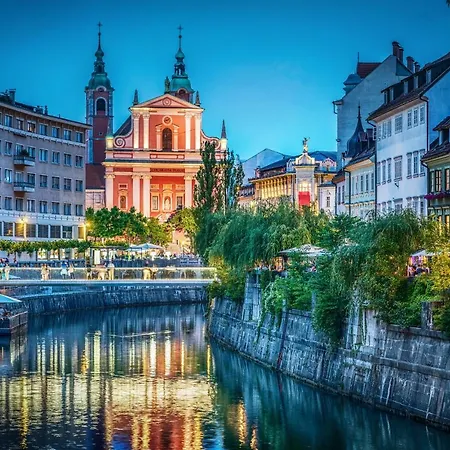 That Cat Flat - Free Parking, Near Center, Cats! 卢布尔雅那