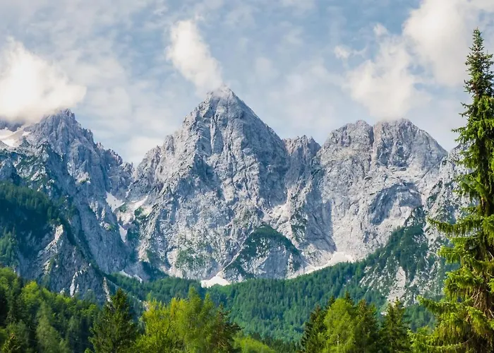 That Cat Flat - Free Parking, Near Center, Cats! * Lublaň