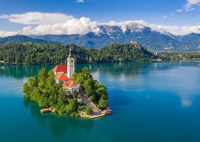 That Cat Flat - Free Parking, Near Center, Cats! Apartmán *