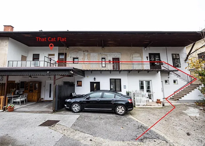 Apartmán That Cat Flat - Free Parking, Near Center, Cats! Lublaň