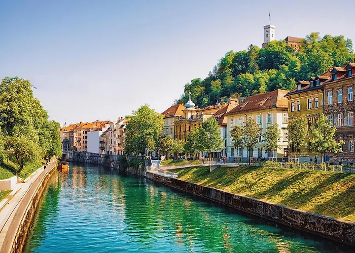 That Cat Flat - Free Parking, Near Center, Cats! Apartmán *