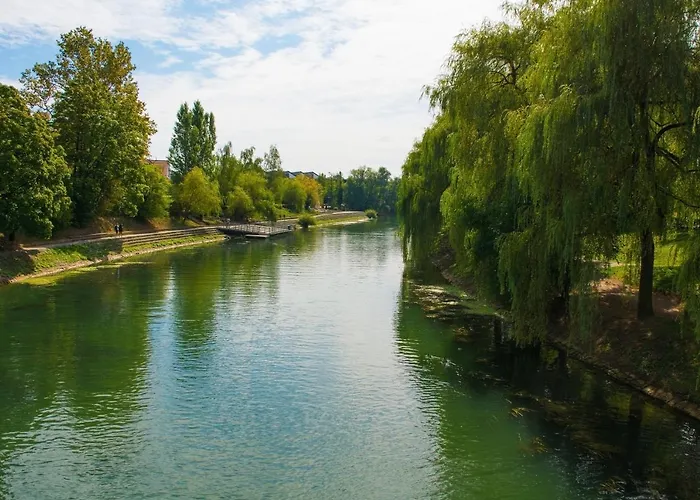 Apartmán That Cat Flat - Free Parking, Near Center, Cats! *