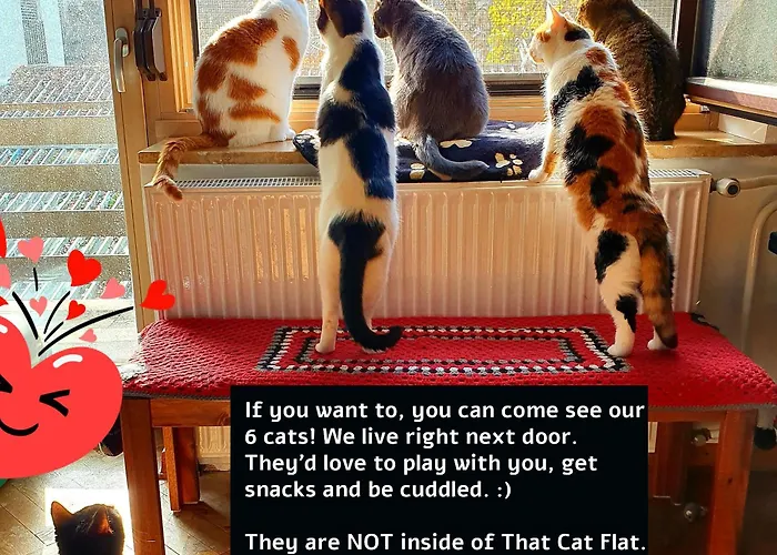 That Cat Flat - Free Parking, Near Center, Cats! Apartmán