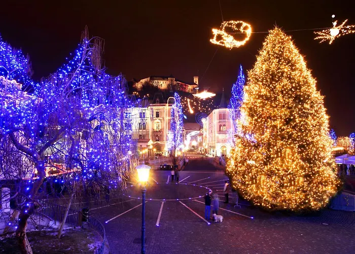 That Cat Flat - Free Parking, Near Center, Cats! Apartmán