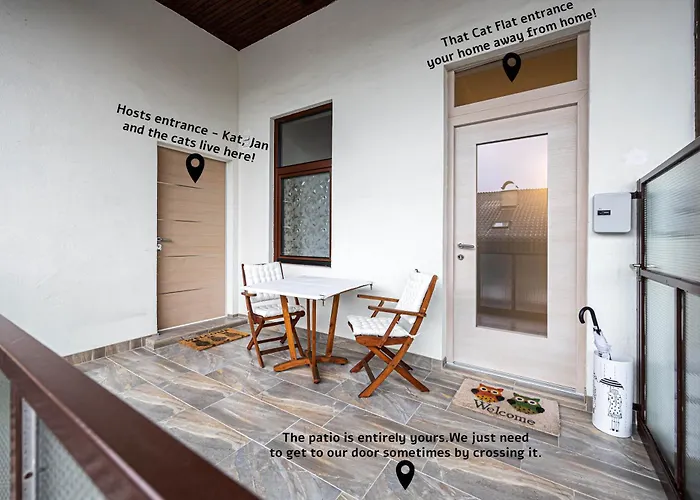 شقة That Cat Flat - Free Parking, Near Center, Cats!