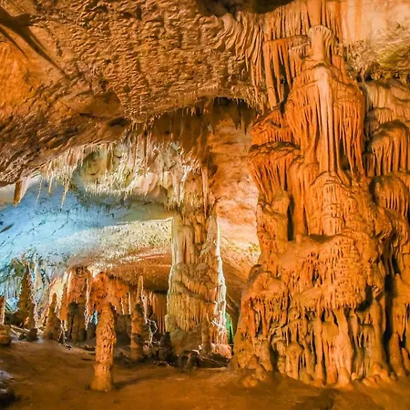 That Cat Flat - Free Parking, Near Center, Cats!