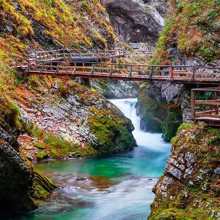 That Cat Flat - Free Parking, Near Center, Cats! *