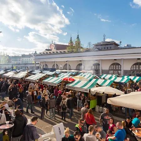 That Cat Flat - Free Parking, Near Center, Cats! *